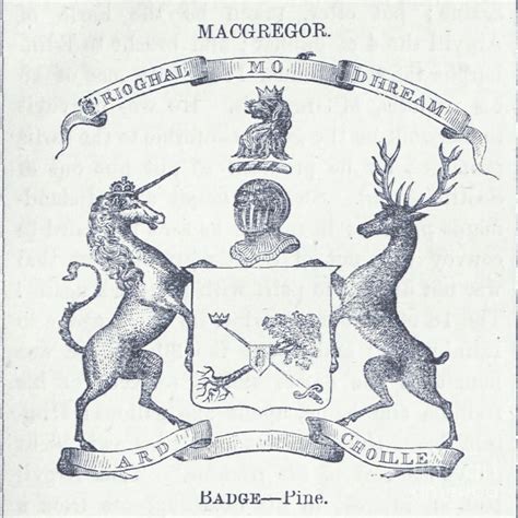 Macgregor Coat Of Arms Crest And Motto N1 Drawing By Historic