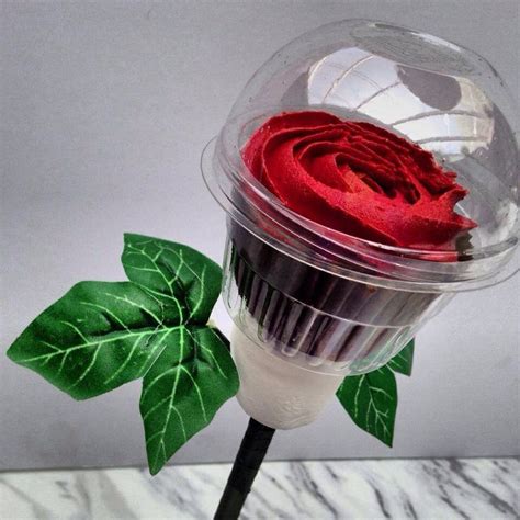 A Red Rose In A Plastic Container With Green Leaves On The Stem And