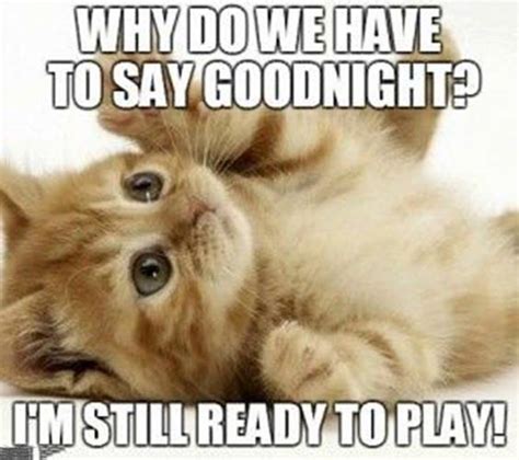 80 Funny Good Night Images And Quotes For Good Night FunZumo