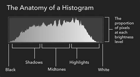 What Are Histograms A Photographers Guide