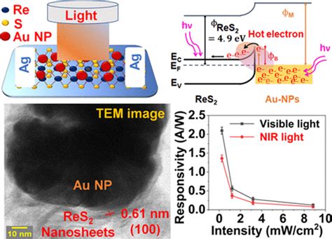 Plasmonic Au Nanoparticles Coated On ReS2 Nanosheets For Visible Near