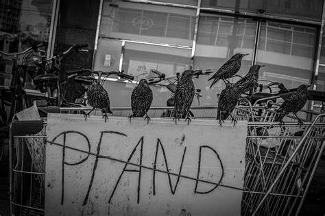 Berlin Alexanderplatz Obdachlose Sammeln Pfandflaschen Flickr