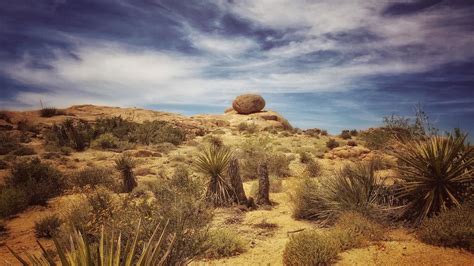 Deserto Del Mojave Cosa Vedere Info E Curiosità