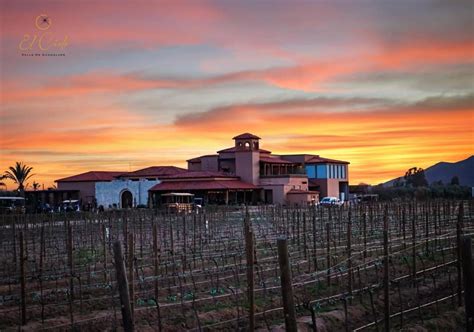 Vi Edos Del Valle De Guadalupe Que Debes Visitar Sep Sitename