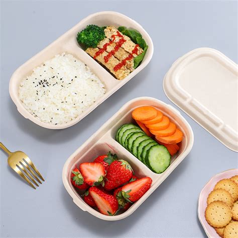 Eco Biodegradable Takeaway Food Containers With Lid Disposable