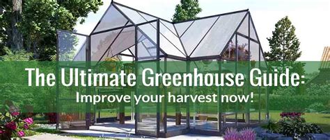 The Ultimate Greenhouse Guide: Improve Your Harvest Now! | Greenhouse ...