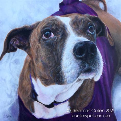 Jazzy Staffy X Dog Portrait Painting Paintmypet By Deborah Cullen