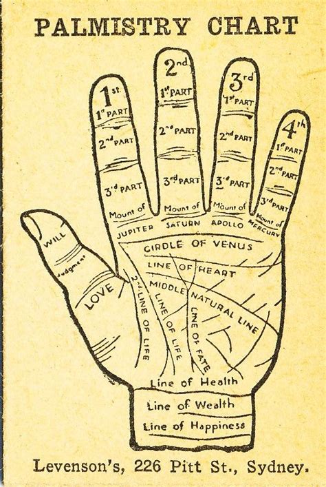 Palmistry Diagram Palmistry Chart Foretelling Alamy Future T