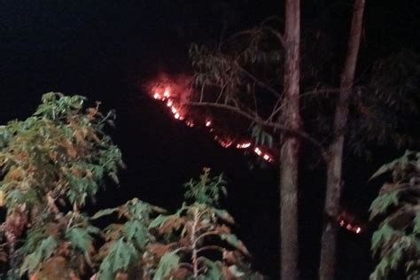 Bukit Di Tepi Danau Toba Alami Kebakaran Hutan Meluas Sampai Sipiso Piso