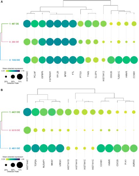 Day 7 Dot Plots Visualizing Cluster Differential Expression Of