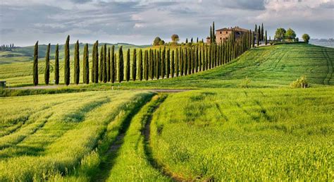 Reasons Why You Need To Visit Siena Italy Paxton Visuals Best