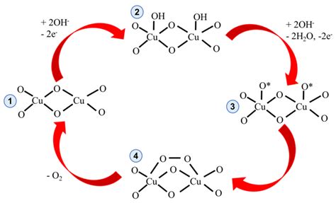 Catalysts Free Full Text An Efficient Electrocatalyst For Oxygen