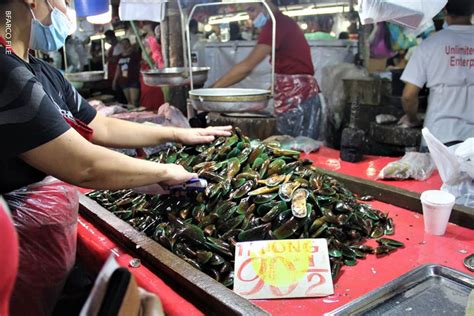 Shellfish Sa 6 Lugar Sa Bansa May Red Tide BFAR Police Files Tonite