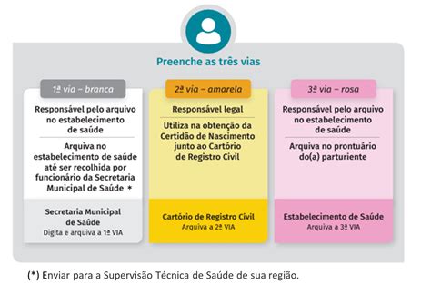 Declara O De Nascidos Vivos Secretaria Municipal Da Sa De Prefeitura