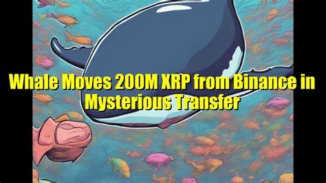 Whale Moves M Xrp From Binance In Mysterious Transfer Youtube