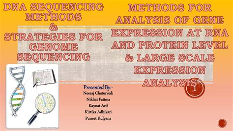 DNA SEQUENCING METHODS AND STRATEGIES FOR GENOME SEQUENCING | PPT