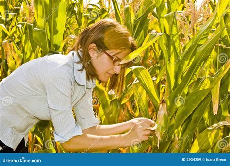 Agricultural Engineer Stock Image Image Of Healthy Engineer 2934209