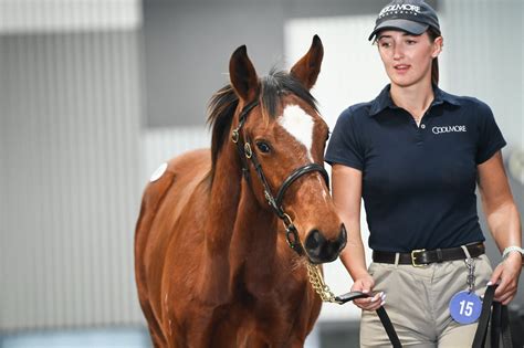 Frankel foals up front again on the Gold Coast