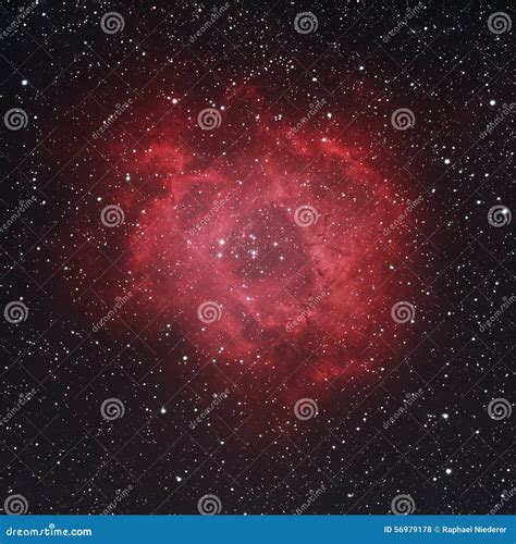 Rosette Nebula In Hubble Pallet Royalty-Free Stock Image | CartoonDealer.com #143949232