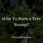 How To Burn A Tree Stump Theyardable