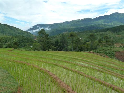 Sapa Half Day Tour 7 Suoi Ho Ma Tra Village