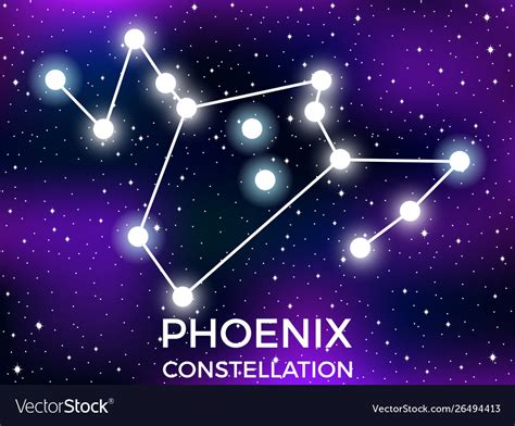 Phoenix Constellation Starry Night Sky Zodiac Vector Image