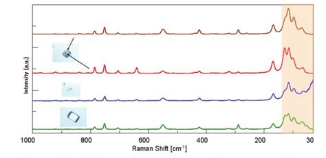 Raman Analysis Of Crystal Polymorph In Pharmaceuticals Jasco