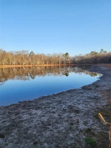 Best Hikes And Trails In Calverton Ponds Preserve Alltrails