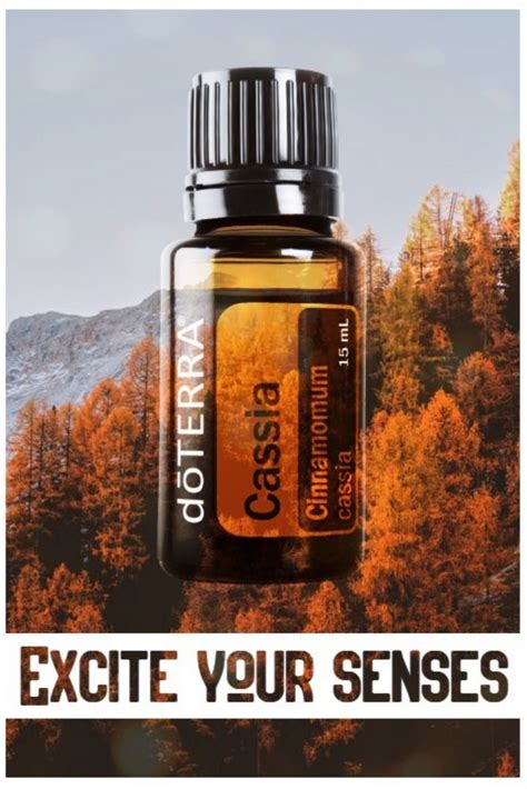 Cassia Essential Oil | Cassia essential oil, Oils, Carrier oils