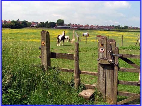 Ilkeston Back To Nature