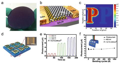 Two Dimensional Group 10 Noble Transition Metal Dichalcogenides