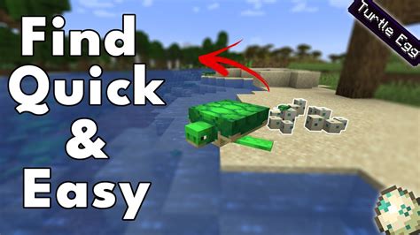 How To Find Hatch Turtle Eggs Quickly In Minecraft Explained