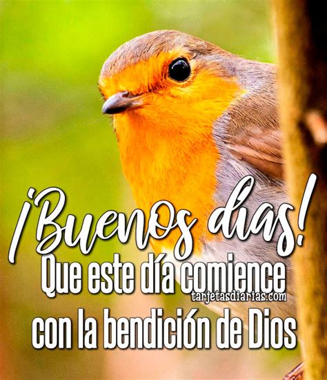 BUENOS DÍAS QUE ESTE DÍA COMIENCE CON LA BENDICIÓN DE DIOS Tarjetas