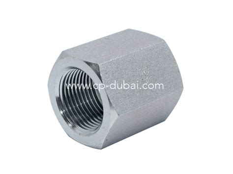 NPT Female Fixed Connector Supplier In Dubai Centre Point Hydraulic