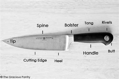 Parts Of A Knife | Learn About Your Kitchen Knife | The Gracious Pantry