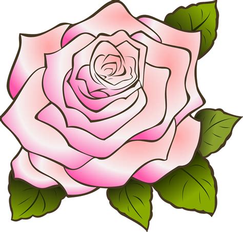 Rosa Dibujo Clásico - Gráficos vectoriales gratis en Pixabay - Pixabay