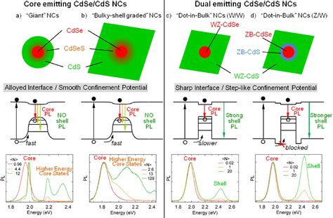 Figure From Effect Of Core Shell Interface On Carrier Dynamics And