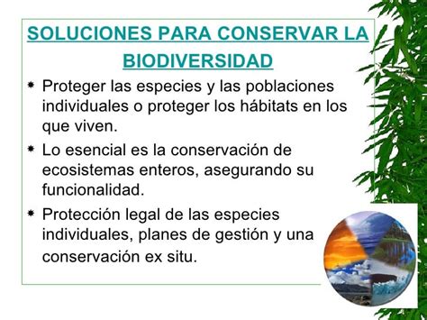 Perdida De La Biodiversidad