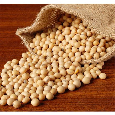 Soybeans Soya Beans At Best Price In Nashik Maharashtra Jj Agrofarm