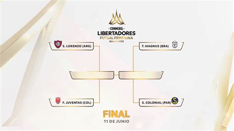 El Cuadro De Las Semifinales De La CONMEBOL Libertadores