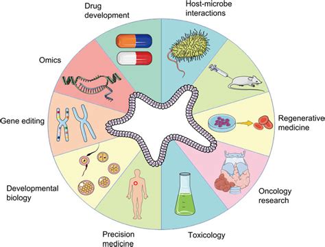 Frontiers Merits And Challenges Of Ipsc Derived Organoids For