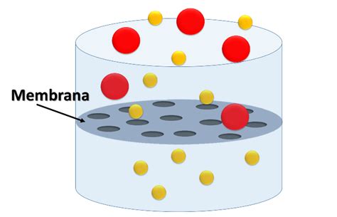 ¿qué Es La Filtración Por Membrana — Hive