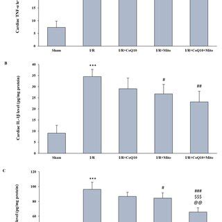 The Effects Of Coq And Or Mitochondrial Transplantation On Myocardial