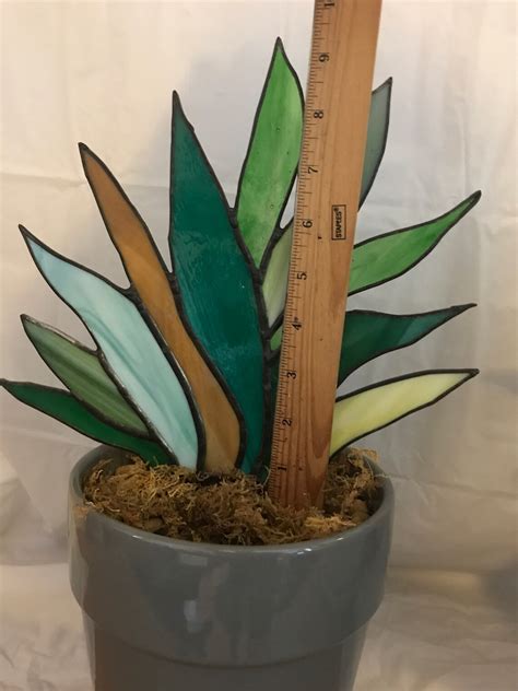 Agave Stained Glass Plant The Plant That Lives Forever Etsy