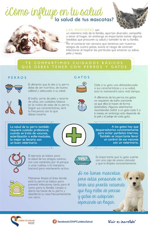 7 Beneficios De Tener Mascota Para Tu Salud Mental 306