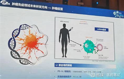 恒瑞医药技术全梳理 2021年， 恒瑞医药 在医保谈判与集采双重压力之下，首次迎来营收、净利润的双双下滑。与此同时，恒瑞医药也在积极应对，包