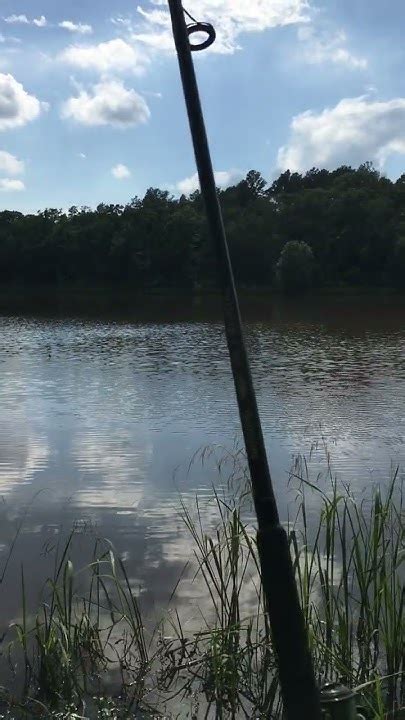 Wolf Creek Lake Palestine Tx 33 Youtube