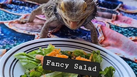 Drago Only Eats Fancy Salads 😁 Youtube