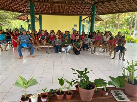 Núcleo de Desenvolvimento Rural realiza oficina sobre Plantas