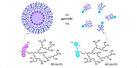 Light Induced Reversible Assembly Of Sp Hb Pg Micelles The Sp Is